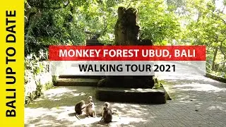Monkey Forest Ubud, Bali - Walking Tour 2021