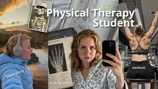 Physical Therapy Student Vlog || uni life, study, gym, productive