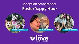 New Adopter & Foster Live Stream Support: Adoption Ambassador Yappy Hour | Petco Love