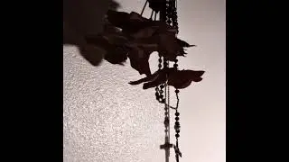 Save Me - Jess Emotionless x Honja
