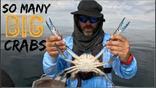World Class Crabbing Off Metro Adelaide South Australia