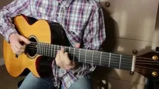 Miley Cyrus - Adore You - Guitar Cover
