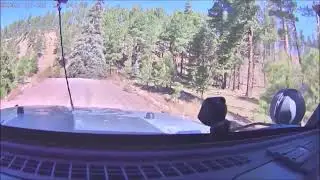 White Mountains Arizona October 2025