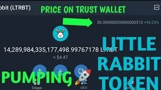 ALERT! Little Rabbit Token Pumps 3000000% | Real or Glitch? I have 158Million Naira in TrustWallet
