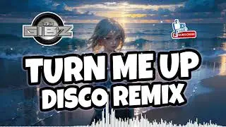 Turn Me Up (Dj Gibz Disco Remix 2025)
