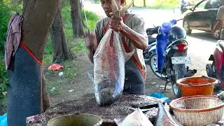INSANE Skill! Master Cuts Trevally Fish at Lightning Speed on the Roadside🔥🔥