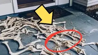 Animal Bones Kept Appearing on My Doorstep&mdash;What My Security Camera Caught Left Me Shaking!
