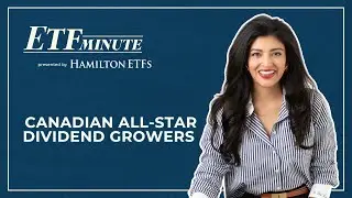 HAMILTON CHAMPIONS™ETFs: Built for Long-Term Dividend Growth | In the Money with Amber Kanwar