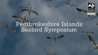 Iolo Williams closes the Pembrokshire Islands Seabird Symposium