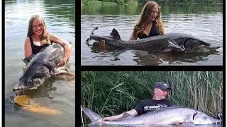 Auf Beluga-Störe vom Ufer (2.0☺️)