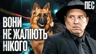 Божевільні злочинці на полюванні | СЕРІАЛ ПЕС | НАЙКРАЩІ ДЕТЕКТИВИ | ДЕТЕКТИВНІ СЕРІАЛИ