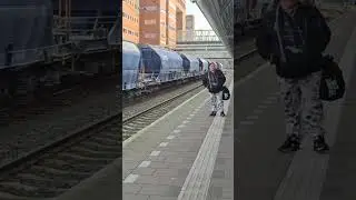 BR 189 from DB arriving at Amersfoort central station!  #train #trainspotting #trainvideo #shorts