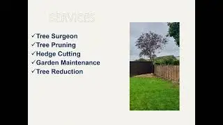 The best Tree Pruning Upton in Gloucester