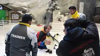 Mall of Emirates, Dubai Ski and Penguin Encounter