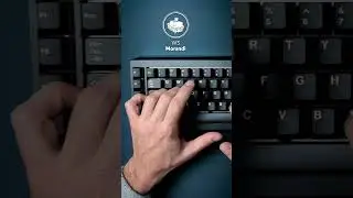 Wuque Studio Freya Ultra Keyboard Sound Test | WS Morandi!