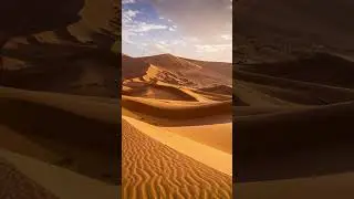 🌅🏜️The endless beauty of the Sahara #nature #SaharaDesert #DesertMagic #GoldenDunes #naturepower