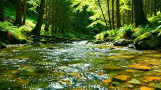 Relaxing Nature Soundscape &bull; Forest Stream Flow and Birds Chirping for Deep Sleep Calm