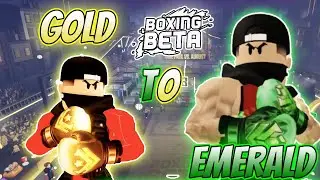 Boxing Beta Roblox ANIMAL_SHBB GRIND TO EMERALD