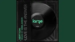 Love Is The Answer (Sebb Junior Remix)