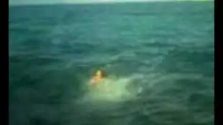 la gomba