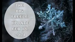 (WITH AUDIO) The Big Freeze Update :: Feb 18, 2021
