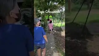 NAPA Crosswinds🌳🌿🏡