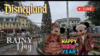 Disneyland Rainy Day Happy New Year #livestream Fun Rides Shows