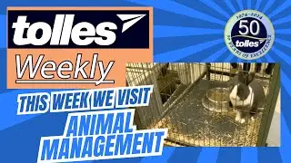 Tolles Weekly: Wild Learning - Exploring the Animal Management Lab!