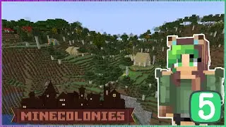 📦 WAREHOUSE + SKELETON FARM! | Minecolonies Let's Play #5
