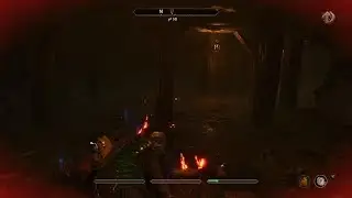 The Elder Scrolls IV: Oblivion Remastered - Punishment for Hoarding Potions