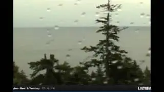 May17 1521 crow diving at mom on bst; 1524 mom off bst down and right to peters, dad there