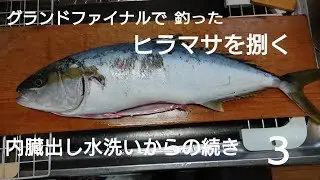 ヒラマサを捌く無編集動画 グランドファイナルで釣った５キロ編 ３