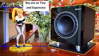Why are Small Subwoofers SO EXPENSIVE?? \\ ELIPSON'S New 8