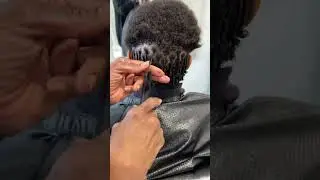 Comb Coil Starter Locs