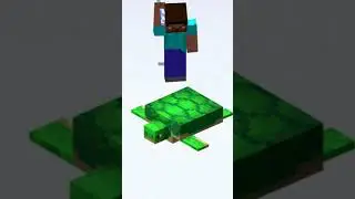 Minecraft Turtle FACTS