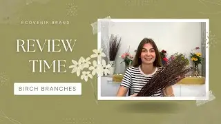 Natural Birch Branches for decoration | Review