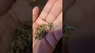 Mar&iacute;a Diam h&iacute;gado graso