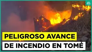 Peligroso avance de incendio en la comuna de Tomé