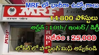 MRF లో 14,800 పోస్టులు | MRF Notification 2022 | MRF Jobs In Telugu | Job Vacancy 2022 | Job Updates