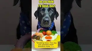 EATING LIKE A BOSS #shorts #viralshorts #dogshorts