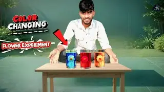🌸 &ldquo;रंग बदलने वाला फूल | Magic Color Changing Flower Experiment | Mr. Experiment Team&rdquo;