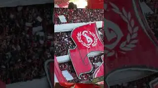 Standard vs Bruges #standardliege #bruges #belgium #football #ultra