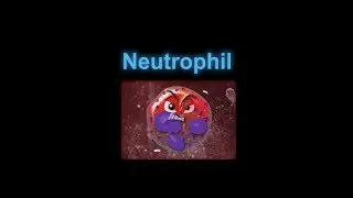 Supercytes cartoon - Neutrophil