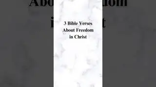 3 Bible Verses About Freedom in Christ ❤️Type AMEN if you believe ❤️#jesus #bibleverses #god #lord