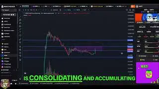 Sato The Dog: Crypto Analysis Predicts Next Bull Run! #shorts