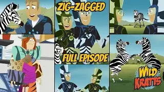 Wild Kratts S01E34 - Zig zagged; zebra adventure