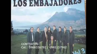 Flor de Azucena - Los Embajadores del Ecuador