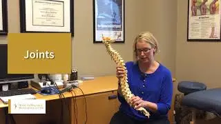 Golden CO Chiropractor - Why People Get Low Back Pain