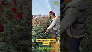Flower picking tool: Easily and safely harvest flowers while keeping them fresh and beautiful.