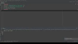 PYTHON - Primitive variable types (Strings / Bollean).